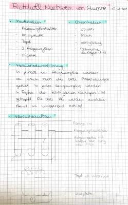 Glucose Nachweis Protokoll: Fehling-Test und Experiment für die Grundschule