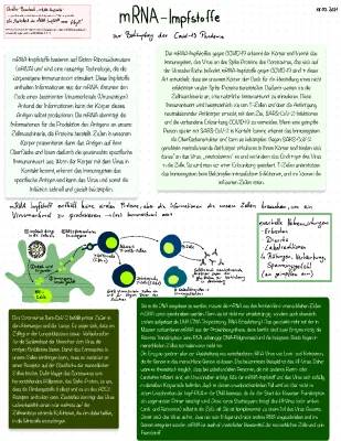 Wie hilft der mRNA-Impfstoff gegen Covid-19?