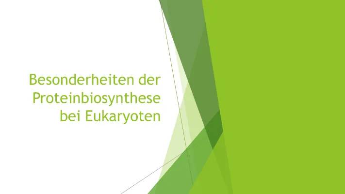 Proteinbiosynthese bei Prokaryoten und Eukaryoten: Ablauf, Unterschiede und RNA-Prozessierung