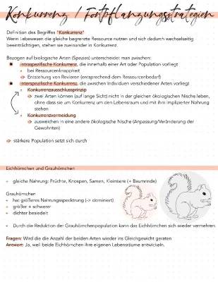 Konkurrenzstrategien und Fortpflanzungsstrategien: Intraspezifische und Interspezifische Beziehungen mit Eichhörnchenbeispielen