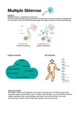 Alles über Multiple Sklerose: Symptome, Therapie und Medikamente