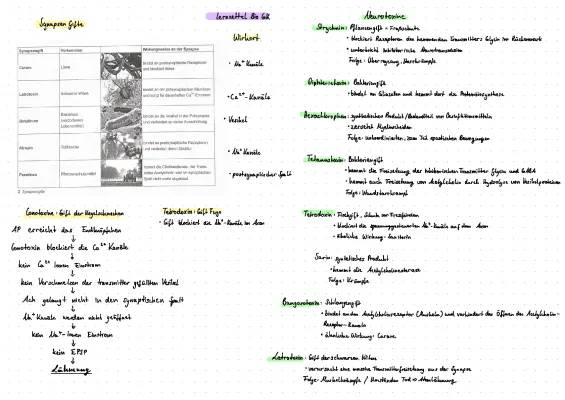 Entdecke die Welt der Synapsengifte: Curare, Tetrodotoxin und Co.