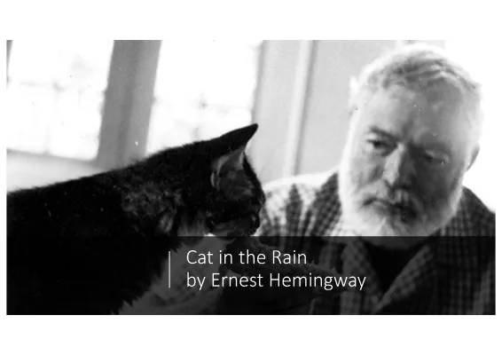 Cat in the Rain by Hemingway - Summary, Analysis & Main Themes