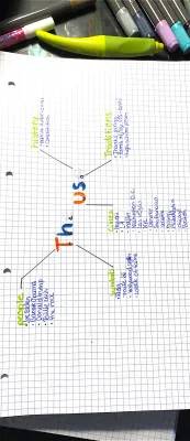 Create Your Own Mindmap About the USA: Free and Easy!