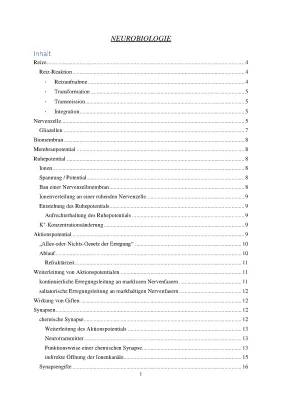 Biologie Abitur 2025 NRW: Beispielaufgaben & Themen zur Neurobiologie