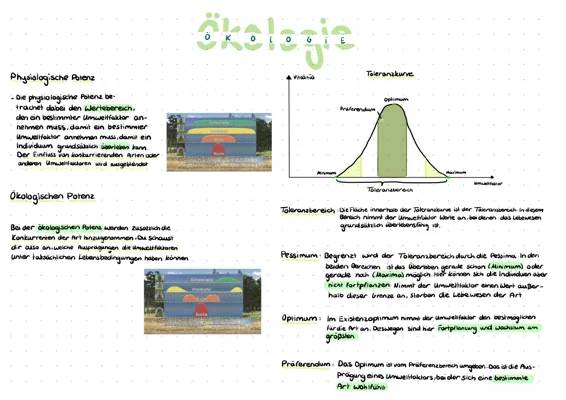 Understanding Ecological Potency and RGT Rule: Easy Examples for Kids