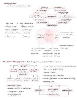 Biomechanische Prinzipien; Qualit. Bewegungsmerkmale; Phasenmodelle