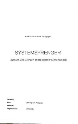 Systemsprenger Facharbeit - Lösungen, Analyse und Forschung