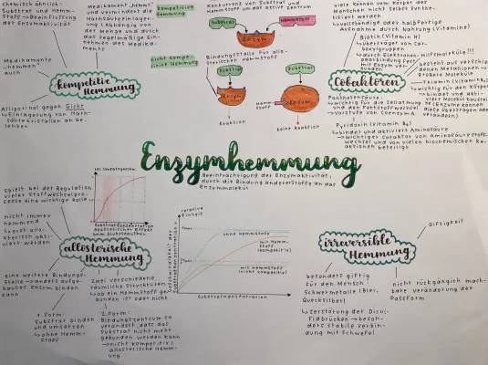 Welche Möglichkeiten der Enzymhemmung gibt es? Einfach erklärt - Kompetitive, Nicht kompetitive und Allosterische Hemmung