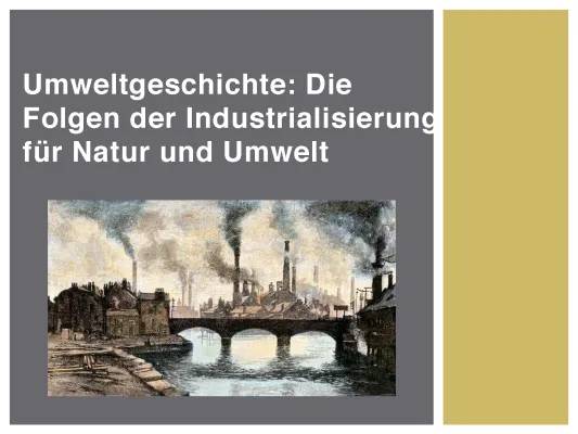 Umweltverschmutzung und Industrialisierung: Der Unterricht für dich