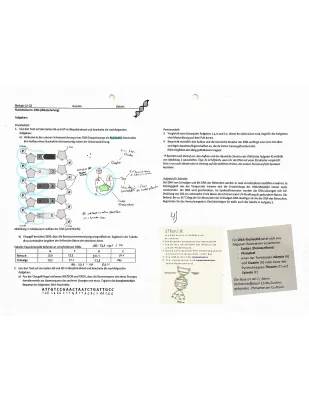 DNA Aufbau Arbeitsblatt PDF mit Lösungen – Einfach erklärt