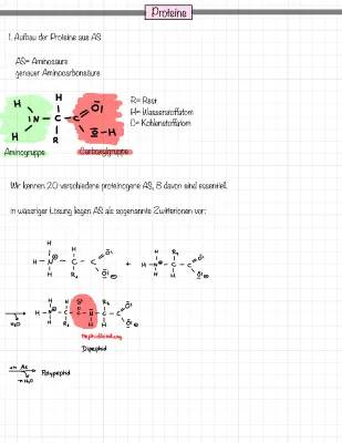 Proteine: Spannender Aufbau und coole Strukturen