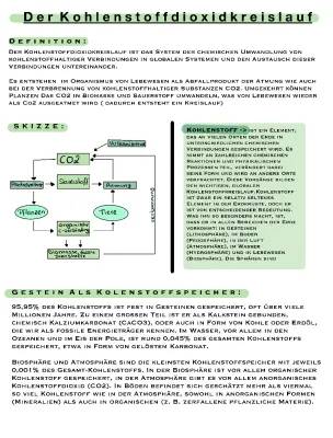 Natürlicher und Anthropogener Kohlenstoffkreislauf einfach erklärt