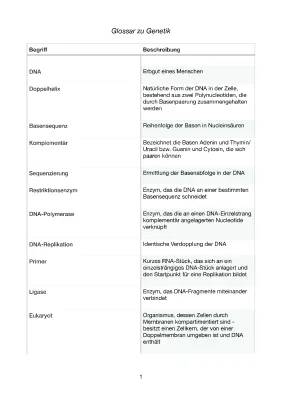 Grundbegriffe der Genetik: DNA vs RNA, Mitose, Meiose & mehr einfach erklärt