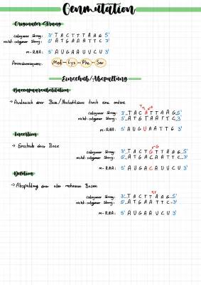 Genmutation: Beispiele und Ursachen einfach erklärt für Kinder