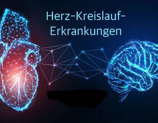 Herz-Kreislauf-Erkrankungen: Herzinfarkt und Schlaganfall 