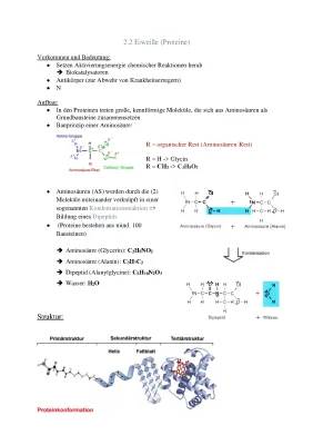 Was passiert bei der Denaturierung von Proteinen? Experiment mit Eiweiß und Hitze