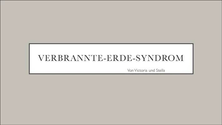 Verbrannte Erde-Syndrom: Vietnamkrieg und andere Beispiele einfach erklärt