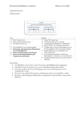 Was sind Mehrliniensysteme und Einliniensysteme? Vorteile, Nachteile und Beispiele