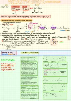 Veresterung: Mechanismus, Beispiele, Reaktionsgleichung und mehr