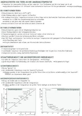 Wie Temperatur Tiere beeinflusst - Arbeitsblatt für gleichwarme und wechselwarme Tiere