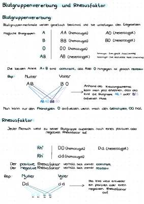 Blutgruppen Vererbung und Rhesusfaktor: Welche Blutgruppe haben meine Eltern, wenn ich 0 habe?