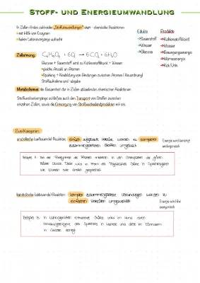 Stoff- und Energieumwandlung: Einfach erklärt mit Beispielen für Biologie und Chemie