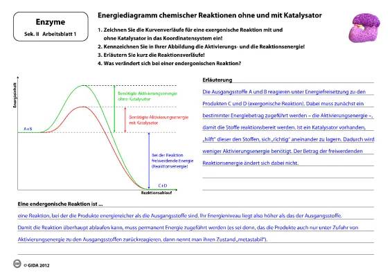 Endotherme und Exotherme Reaktionen einfach erklärt: Beispiele und Energiediagramme