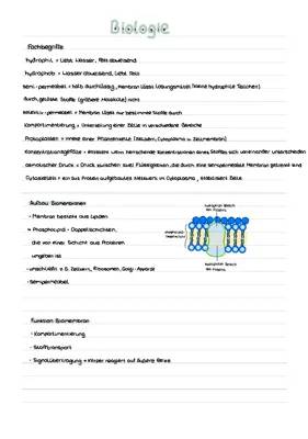 Was ist eine semipermeable Membran? Entdecke den Unterschied zwischen Osmose und Diffusion!