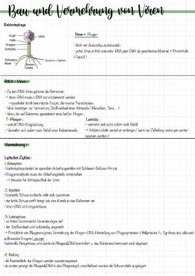 Vermehrung und Aufbau von Viren einfach erklärt - Lytischer und Lysogener Zyklus