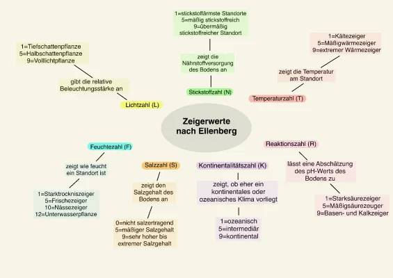 Zeigerwerte nach Ellenberg PDF: Definition, Tabelle, Berechnung & Beispiele