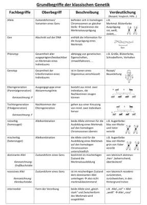 Lerne die Grundlagen der klassischen Genetik: Vererbung, Allele und mehr!