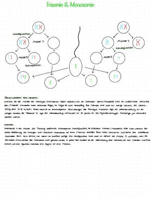 Chromosomenmutation und Genommutation einfach erklärt: Trisomie 21, 18, 13 und mehr