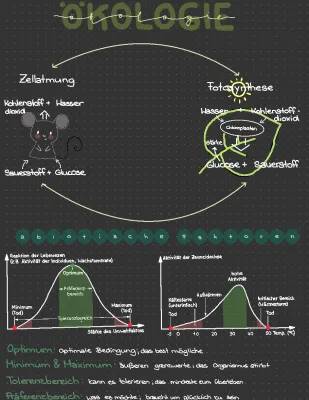 Ökologie und Zellatmung Klasse 11-12: Gesamtbilanz, ATP und mehr