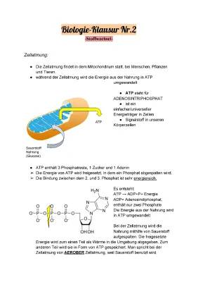 Zellatmung für Kinder: Einfach erklärt – Mitochondrien, ATP und mehr!