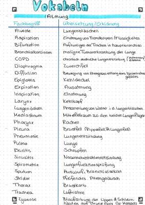 Wichtige medizinische Fachbegriffe A-Z: Atmung, Lunge und mehr - PDF kostenlos