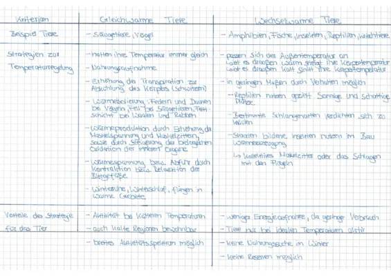 Gleichwarme und Wechselwarme Tiere: Vergleich & Beispiele für Klasse 5