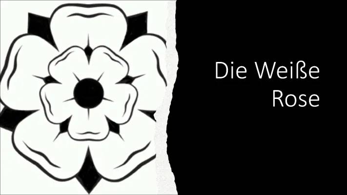 Die Weiße Rose - Mitglieder, Flugblätter und Widerstand