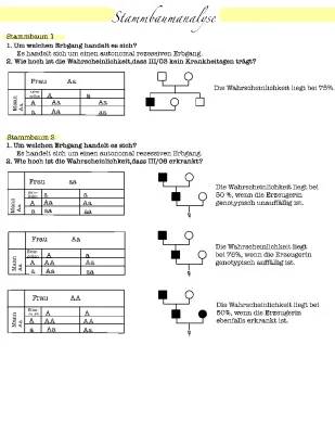 Stammbaumanalyse leicht gemacht: Autosomal oder gonosomal?