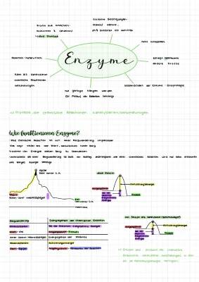 Easy Guide to Enzymes and Proteins for Kids