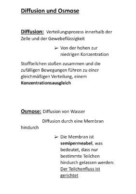 Diffusion und Osmose einfach erklärt - Unterschied, Beispiele und mehr für Kinder