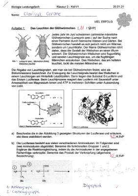 Wie leuchten Glühwürmchen? Chemische Reaktion mit Luciferin