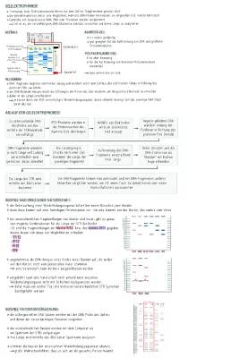 Gelelektrophorese: Aufbau, Ablauf und Funktionen für DNA und Vaterschaftstests