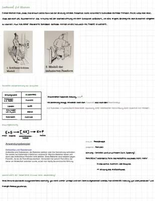 Induced Fit Modell und Schlüssel-Schloss-Prinzip einfach erklärt