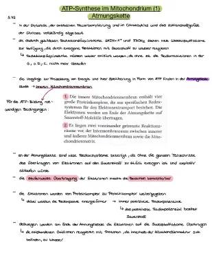 ATP-Synthese im Mitochondrium – Einfach Erklärt für Kinder