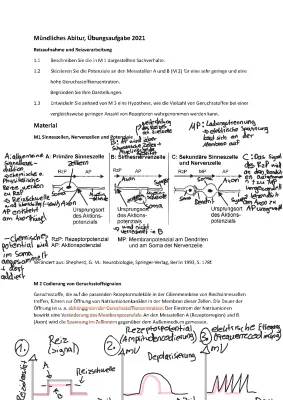 Mündliche Prüfung Biologie Abitur Beispielaufgaben und Lösungen PDF - Genetik, Evolution, Ökologie, Neurobiologie