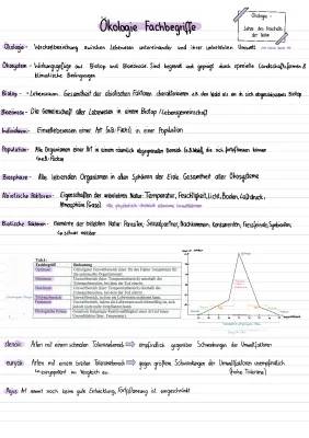 Ökologie Fachbegriffe PDF: Einfach für Kinder erklärt mit Beispielen und Mindmap