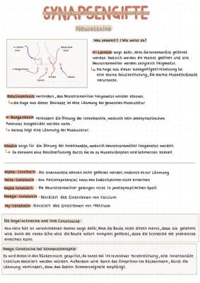 Neurotoxine: Wie Kegelschnecken-Gift und Co. auf unseren Körper wirken