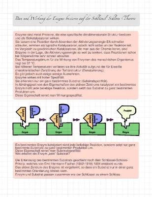 Schlüssel-Schloss-Prinzip und Enzyme einfach erklärt - Beispiele, Aufbau und Wirkungsweise