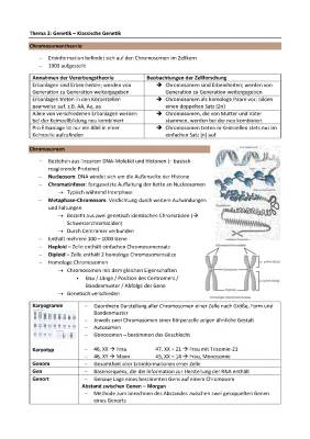 Was ist Genetik? Einfach erklärt - Chromosomentheorie der Vererbung, Chromosomenanalyse & mehr